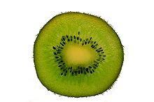 Kiwi groen De Vrijloophoeve Webshop